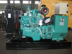 昆明東本機(jī)電設(shè)備公司 昆明玉柴發(fā)電機(jī)30kw